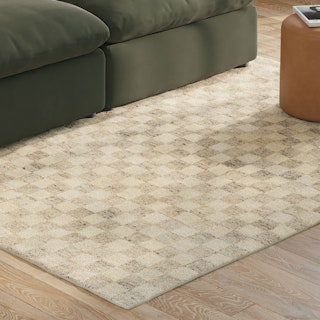 Murray 5 x 8 Wool Rug - Checkered Gray