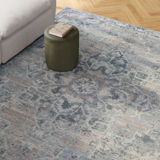 Buena 8 x 10 Rug - Traditional Blue